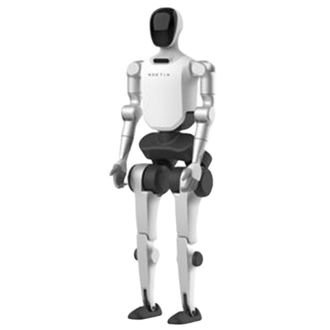 Робот Noetix E1