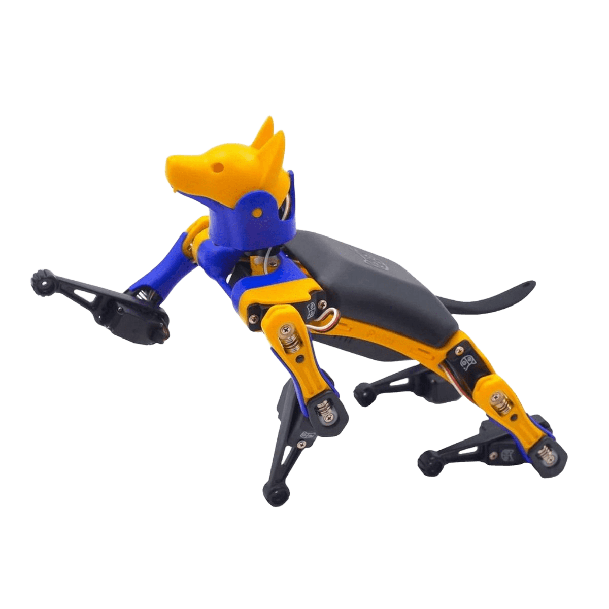 Робот Petoi Bittle STEM Kit