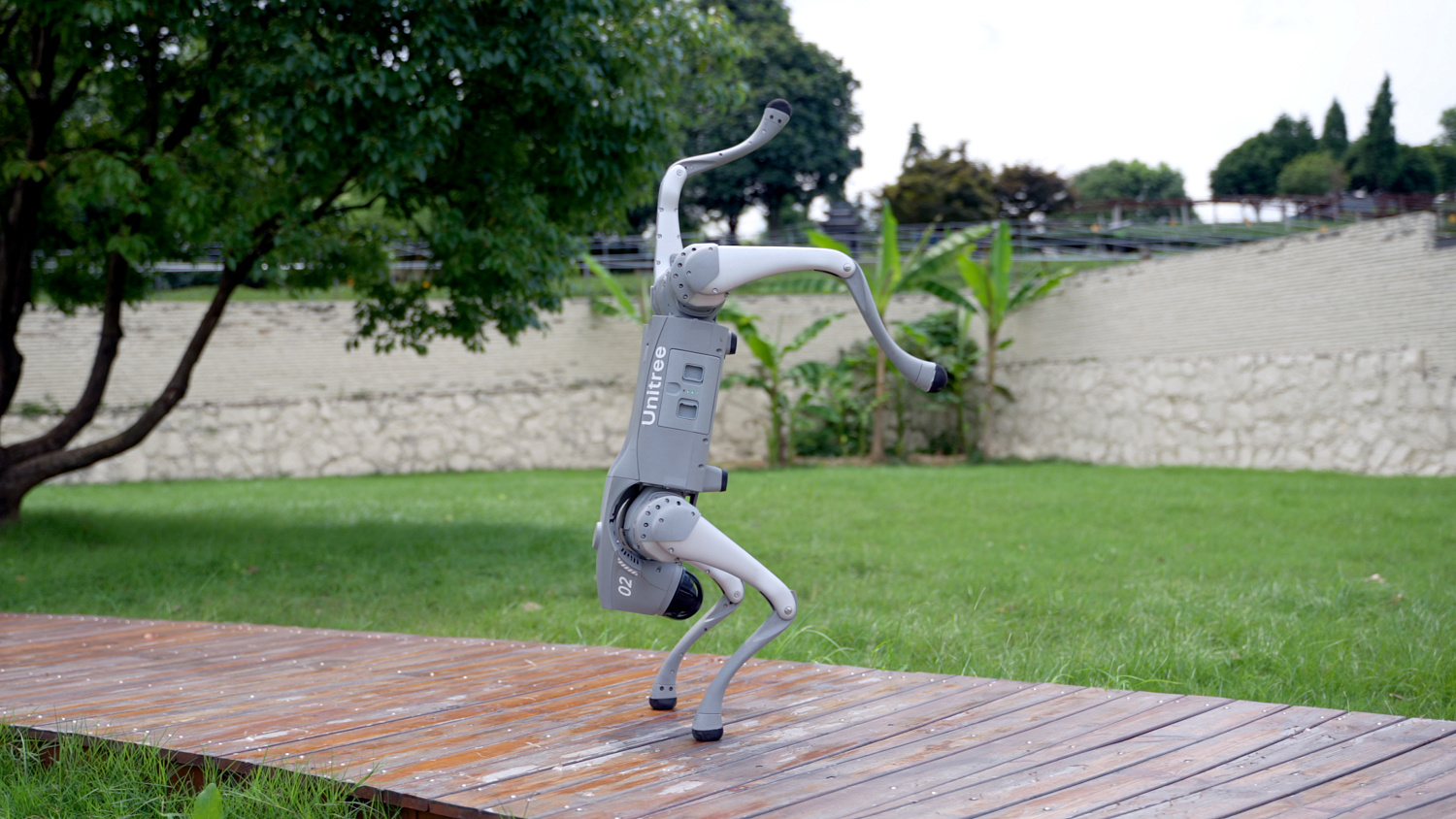 Аренда Unitree Go2 Pro