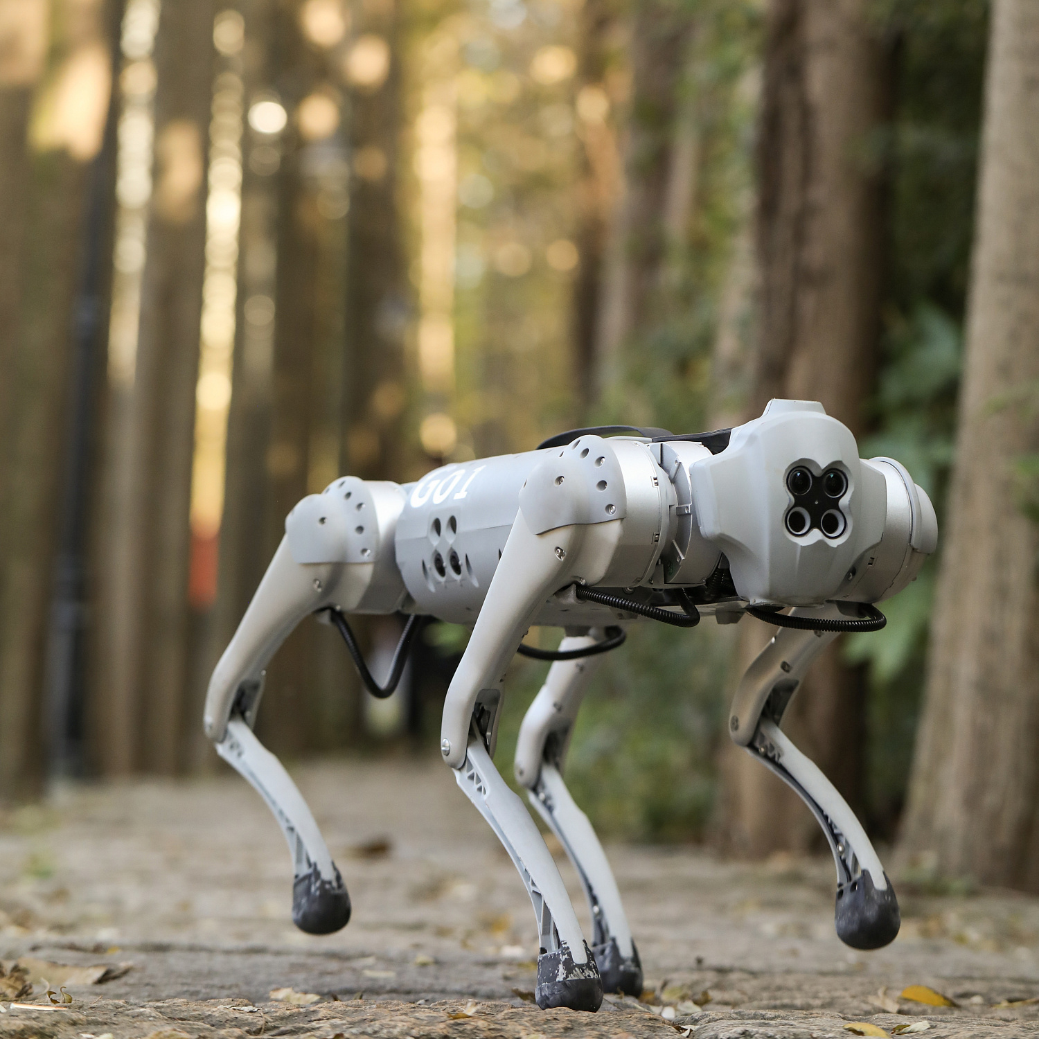 Аренда Unitree Go1 Pro