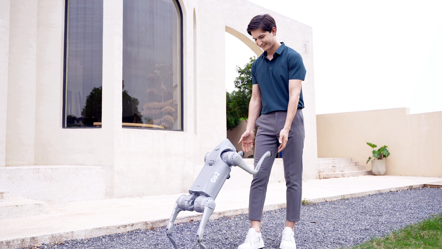 Аренда Unitree Go2 Air