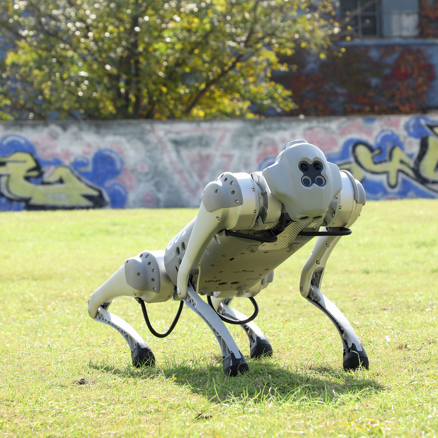 Аренда Unitree Go1 Pro