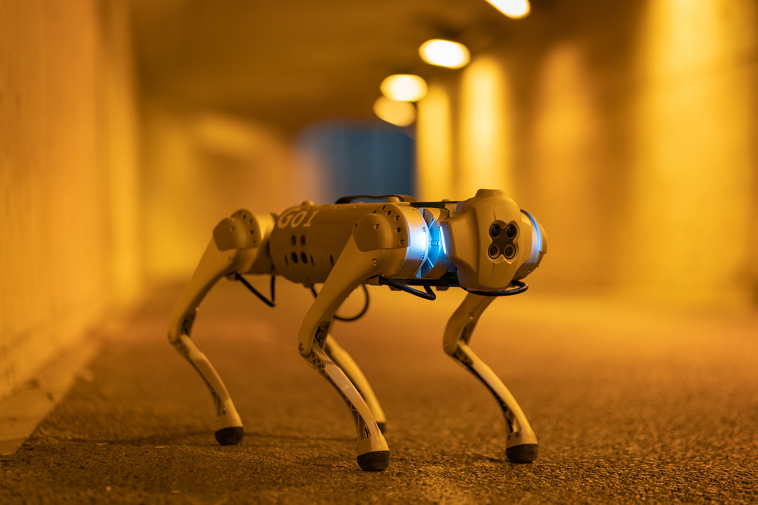 Аренда Unitree Go1 Pro