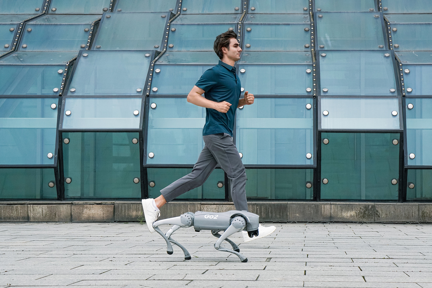 Аренда Unitree Go2 Air