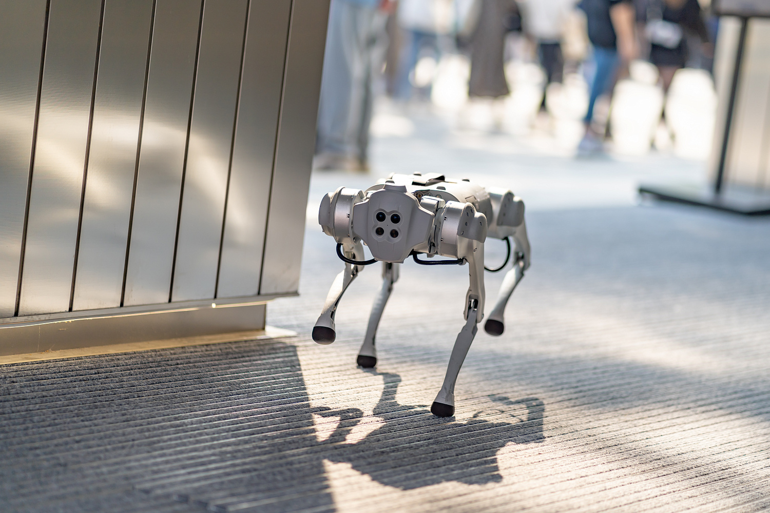 Аренда Unitree Go1 Pro