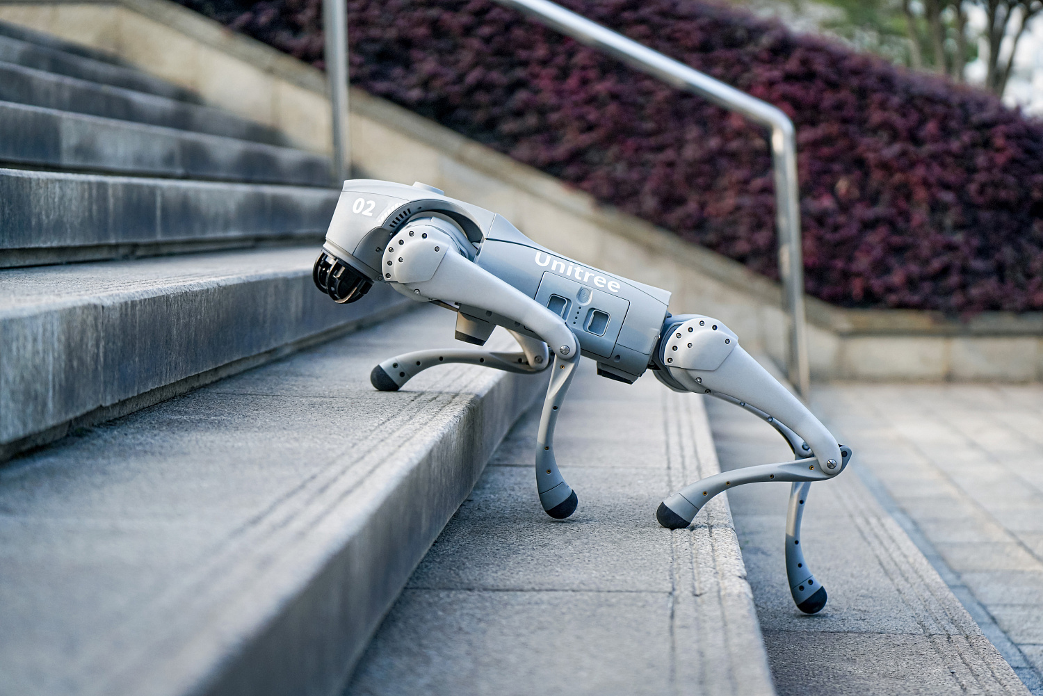 Аренда Unitree Go2 Air